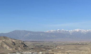 Кыргызстан менен Өзбекстандын чек арасына  мал өткөрүү пункт курулду