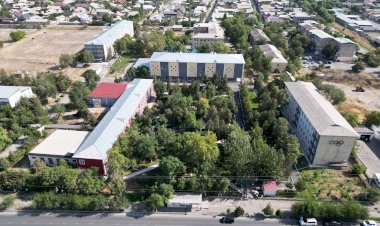Быйыл Жалал-Абад шаарында 300 миң даанадан ашык гүлдүн көчөттөрү тигилет