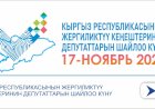 17-ноябрда жергиликтүү кеңештердин депутаттарын шайлоосунда кантип добуш берүү керек?