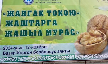 Базар-Коргондо «жаңгак» фестивалы өттү