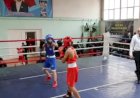 Жалал-Абадда бокс боюнча жаштар биринчилиги болду