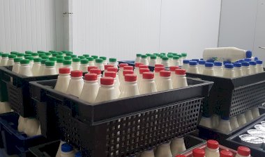 Сүт заводдун ачылыш каадасы