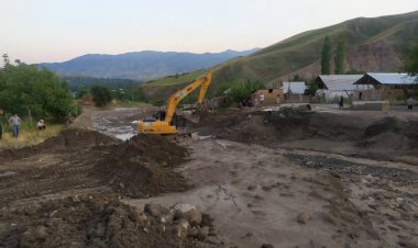   КЫРСЫКТЫН АЛДЫН АЛУУ –ӨМҮРГӨ ТЕТЕ ИШ