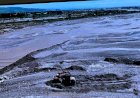 Сузактагы Көк-Арт дарыясынан кум-шагыл алууга чектөө кирди
