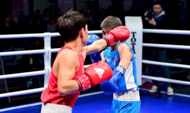 Манас шаарында алгачкы жолу бокс боюнча Кыргызстандын чемпионаты өтүп жатат