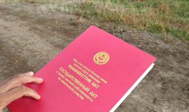 Жерге ээлик кылуучу күбөлүк жоголду