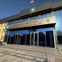 Манас шаарында массалык мушташка катышкан балдар кармалды