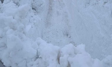 Ала-Бука—Жаңы-Базар—Кировка унаа жолунда 5 жерге кар көчкү түштү