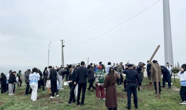  “Кыялымдагы Кыргызстан: Жалал-Абад – 2026” жаштар форумунун алкагында желек көтөрүү жана көчөт отургузуу акциясы өттү