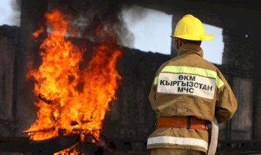 Жалал-Абад облусунда жыл башынан бери 88 өрт кырсыгы катталып, 2 киши каза болду