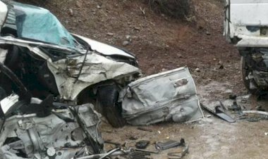 Бишкек-Ош унаа жолунда унаа кырсыктап чет өлкөлүк жараан каза болду