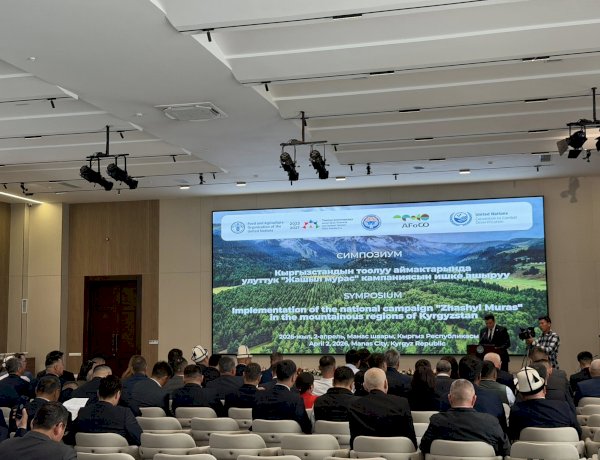 Быйыл өлкөдө  жалпы 9 млн даана дарак көчөтү отургузулат