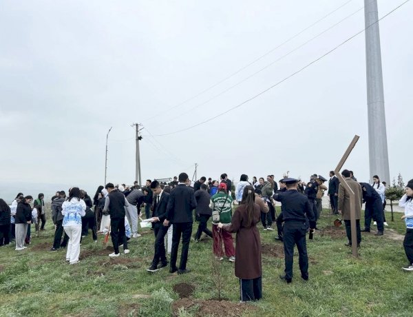  “Кыялымдагы Кыргызстан: Жалал-Абад – 2026” жаштар форумунун алкагында желек көтөрүү жана көчөт отургузуу акциясы өттү