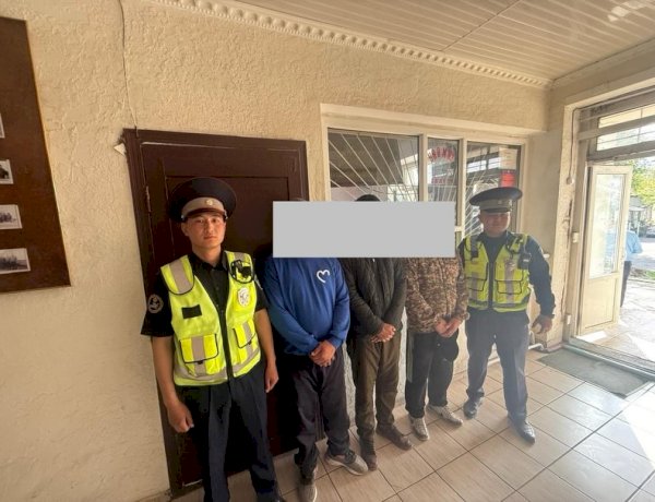 Шамалды-Сай шаарында торпок уурдоого шектелген адамдар кармалды