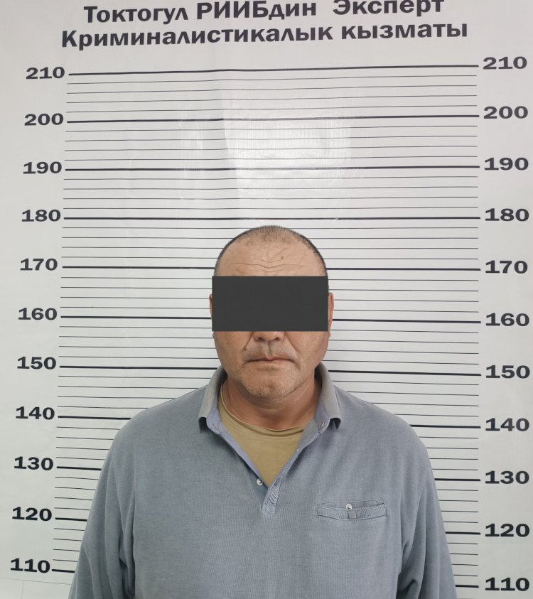 Токтогулда айыл чарба багытындагы жерди жараксыз абалга келтирген жаран бир айга камакка алынды